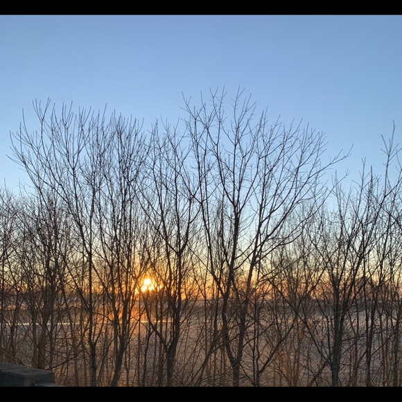 Meet your Posher, Holly - Picture 1 of 1